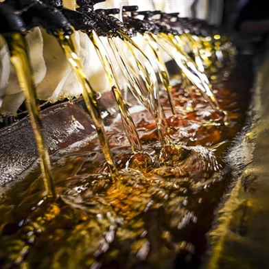 زيت التونغ المغلي